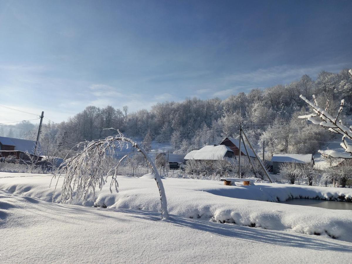 Садиба Райський Куточок Siněvir Exteriér fotografie